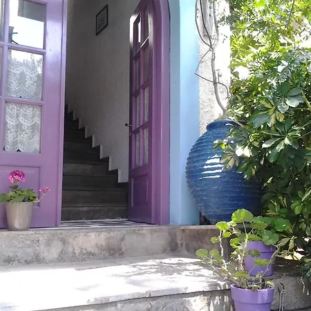 Levantes 2* Patitiri