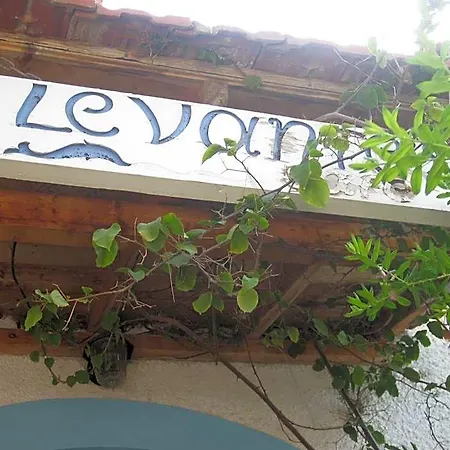 Levantes Patitiri (Alonnisos)